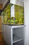 makreladesign-skřínka pod akvarium,lamino,nerez obložení, Praha 6
